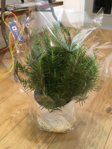 成長というか　大人になったというか　嬉しかったこと