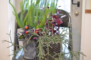 季節の変わり目