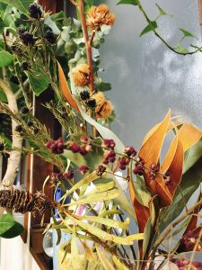 木の実をあつめる