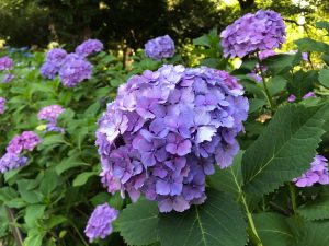 加齢による髪質の変化😱