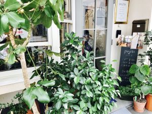 明日は定休日になっておりますm(__)m