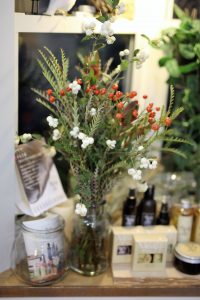 久しぶりに新しい植物が仲間入りしました～