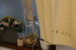 今年の漢字が発表されたみたいなので、pejiteの今年の漢字も考えてみました！