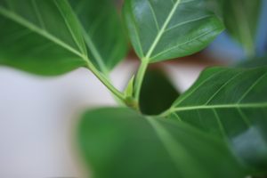 絶賛、別れの季節です・・・　ちなみに紹介割引あります。