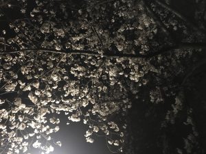 春休みは子供だらけになります(^-^)　キッズカットをNET予約される場合のお願いです。