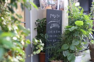 植物たちの一斉メンテナンス！！