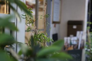 今年の営業も残すところ、２９日.３０日の２日です！２０１９年１月の週末の予約も埋まりだしてきていますm(__)m