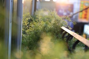 今回でpejiteはラストかな～来年度から新生活を迎えるお客様へ！