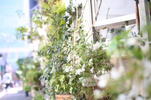 7月にご来店を考えているお客様へ。