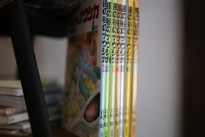 pejiteの名前は【風の谷のナウシカ】からパクってます。そしてやっと【風の谷のナウシカ】の原作を揃えました！