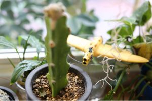 ちょっと早いですがGWのお知らせです！