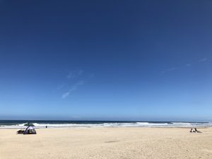 コスパ最強で仕上がり最高のシャンプー＆トリートメント入荷しました◎