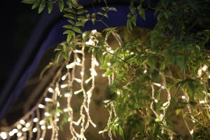 2020年・年末年始のpejite営業のお知らせ