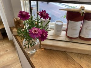 春の贈り物いただきました