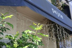 火曜日も営業してます◎