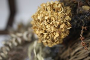 頭皮の乾燥のお悩み、冬になるとよく相談されます。